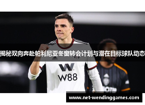 揭秘双向奔赴帕利尼亚冬窗转会计划与潜在目标球队动态